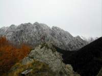 Grondilice Garnerone
